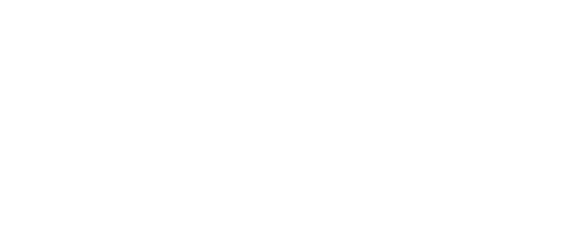 Logo Energizer